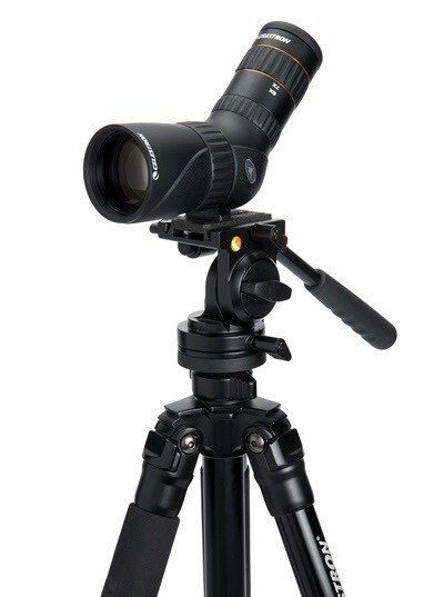 Celestron HummingBird Spotting Scope 7-22x50 ED - Angled