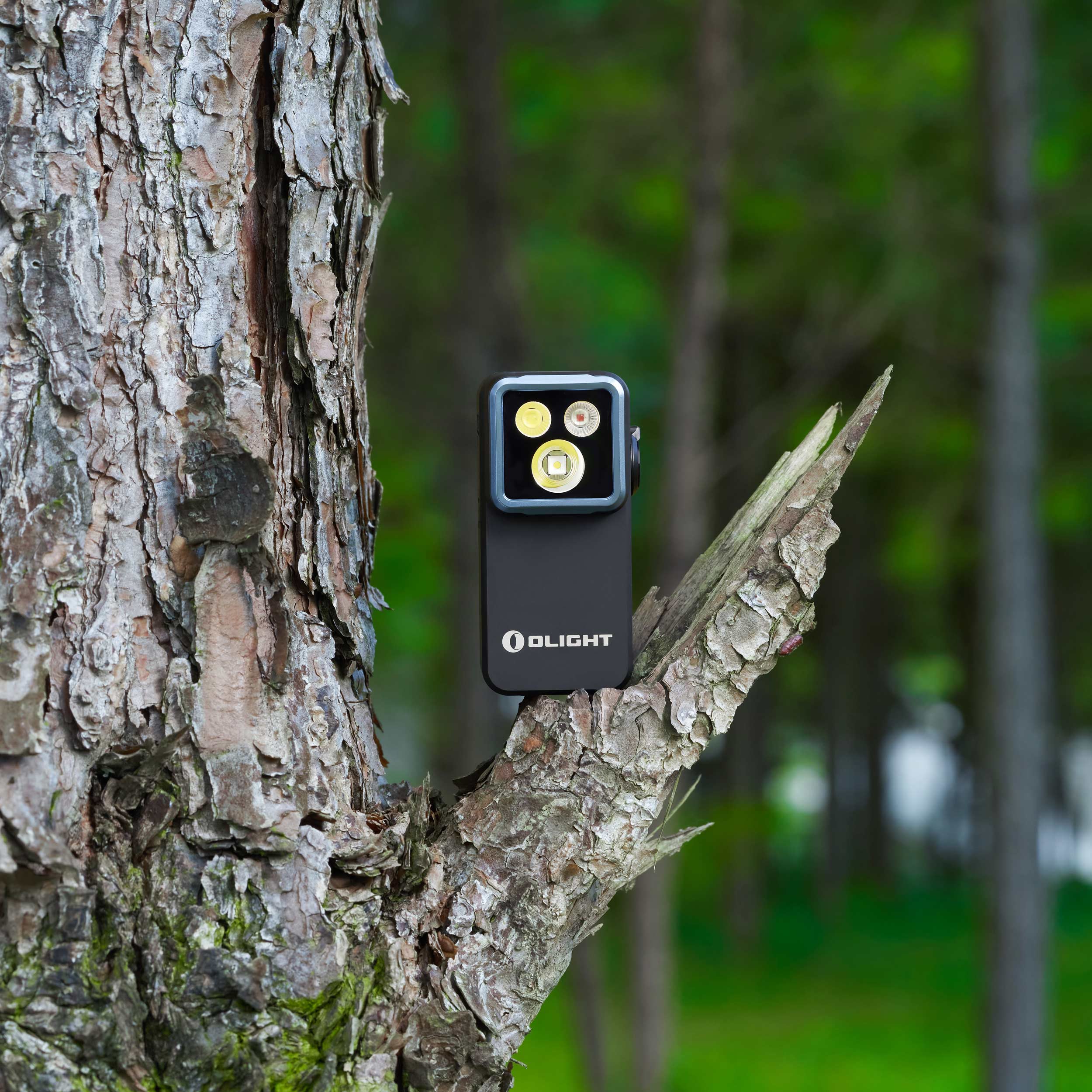 Olight Oclip 2 Pro Rechargeable Torch 530 Lumens - Black