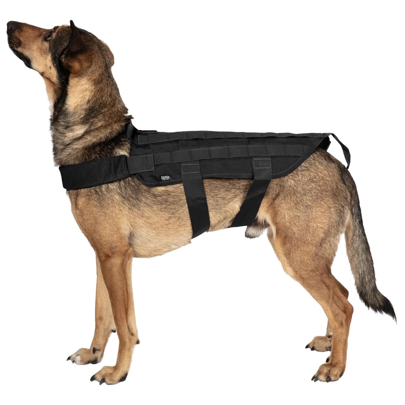 Primal Gear dog tactical vest - Black