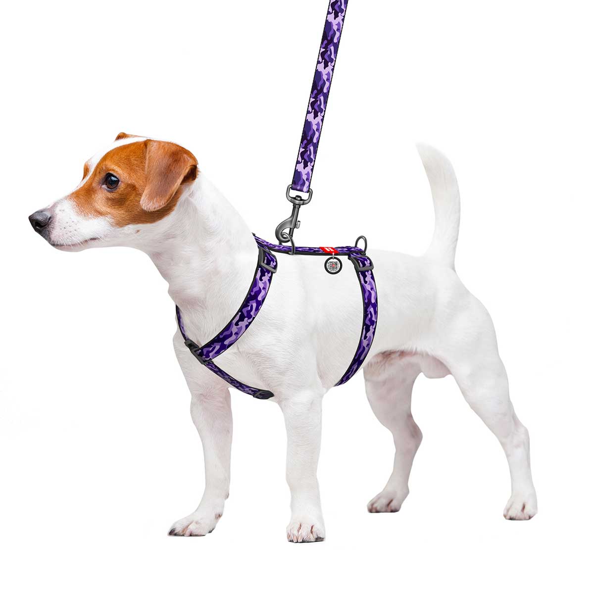 WauDog 20 mm dog harness - Purple Camo