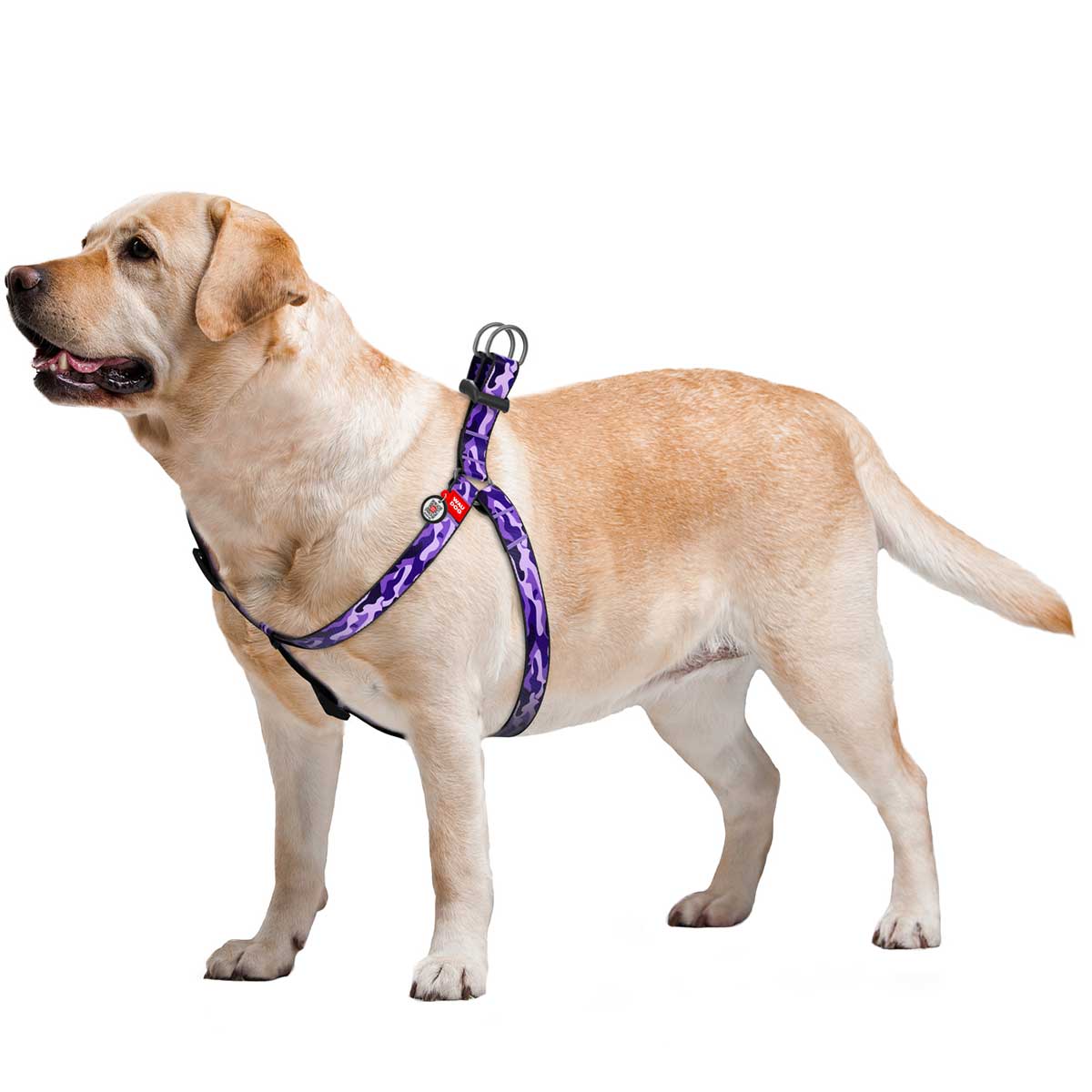 WauDog 20 mm dog harness - Purple Camo
