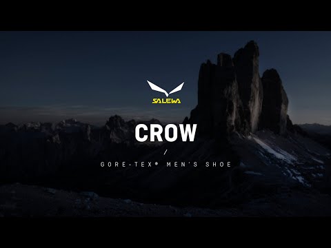 Salewa Crow GTX Shoes - Wallnut/Fluo Orange