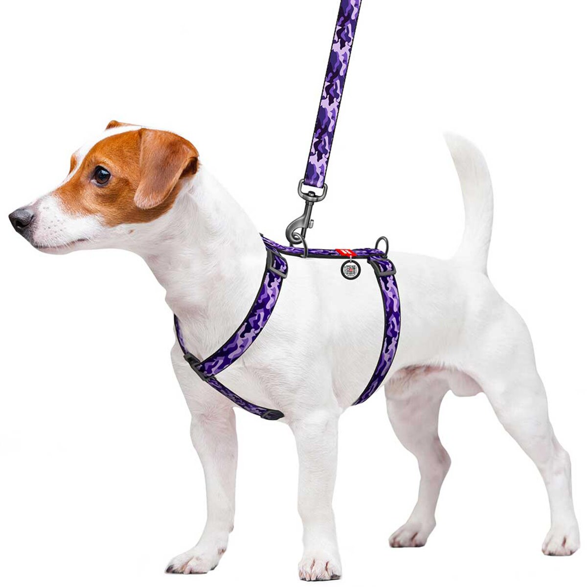 WauDog 25 mm dog harness - Purple Camo