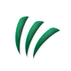 Poe Lang Quills 3" green - 3pcs
