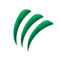 Poe Lang Quills 4" green - 3pcs