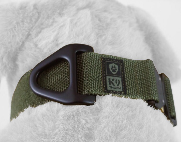 K9 Thorn Cobra Alpha Tactical Dog Collar - Olive - For Medium Dogs