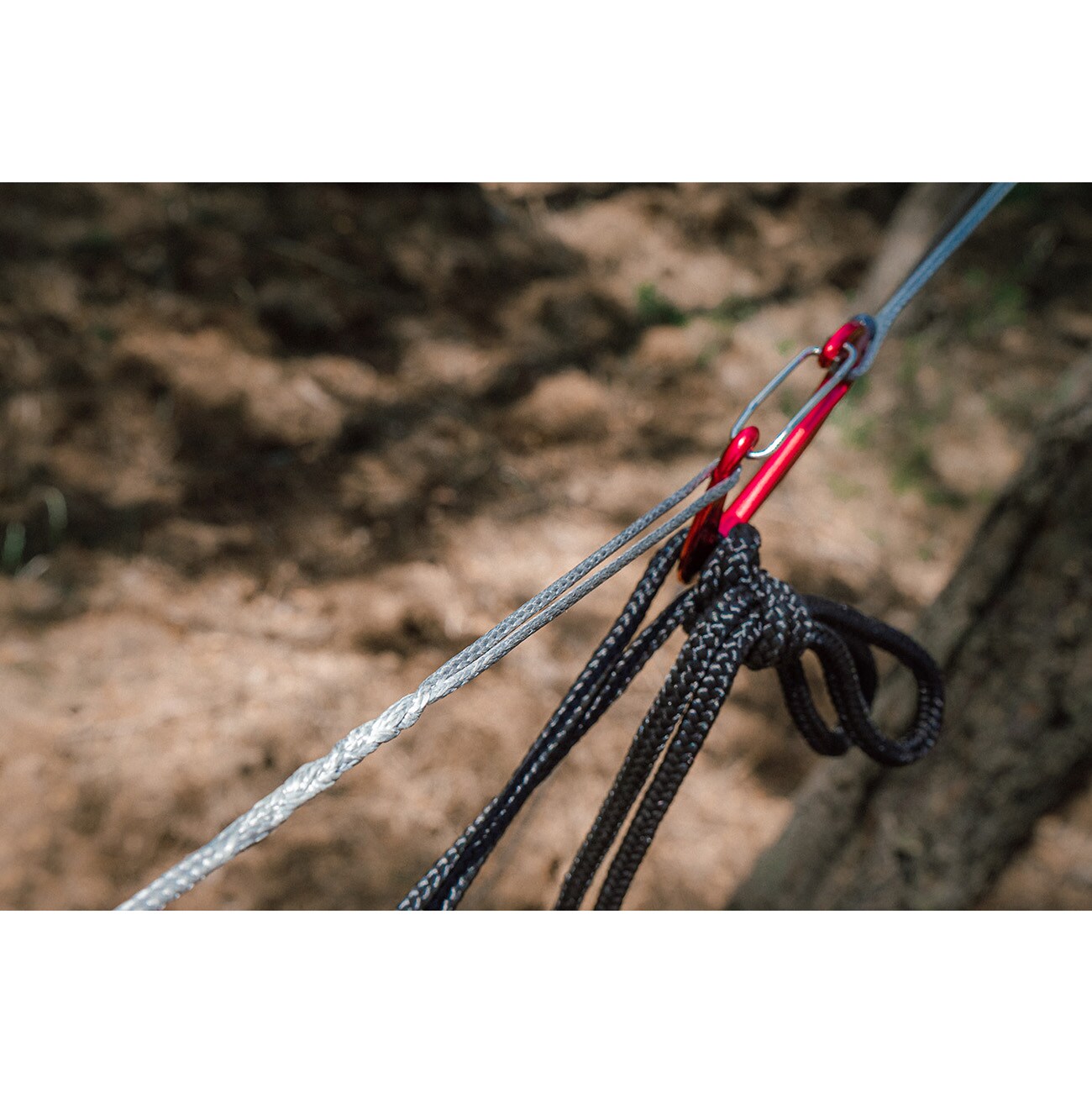 Tigerwood Hammock Chord 2.49 m 