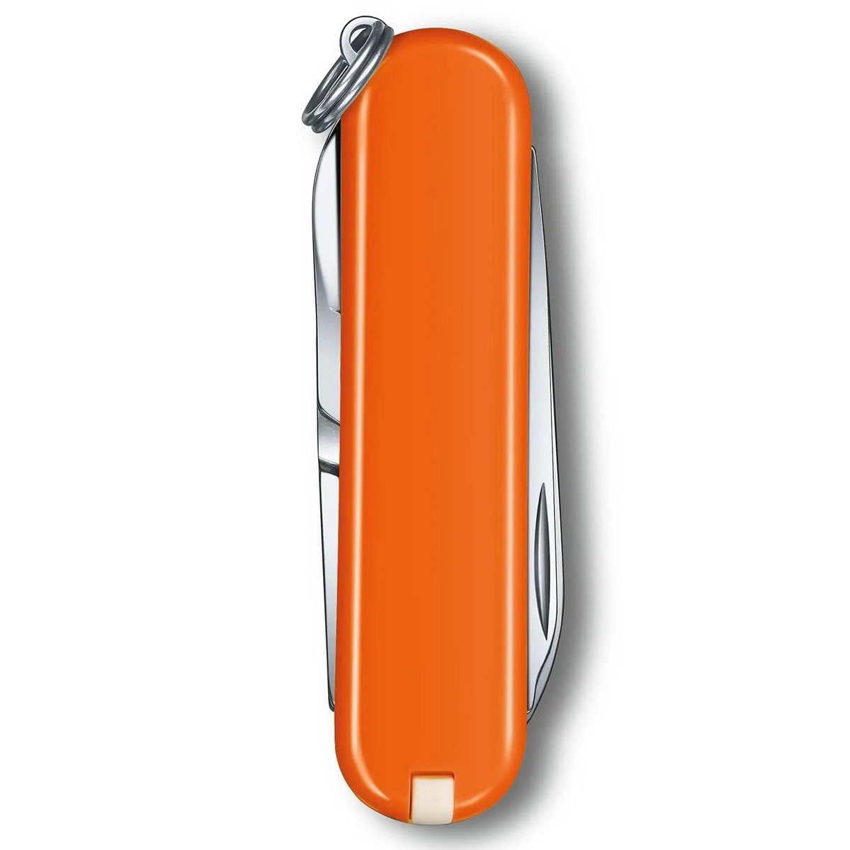 Victorinox Classic SD Pocket Knife Mango Tango