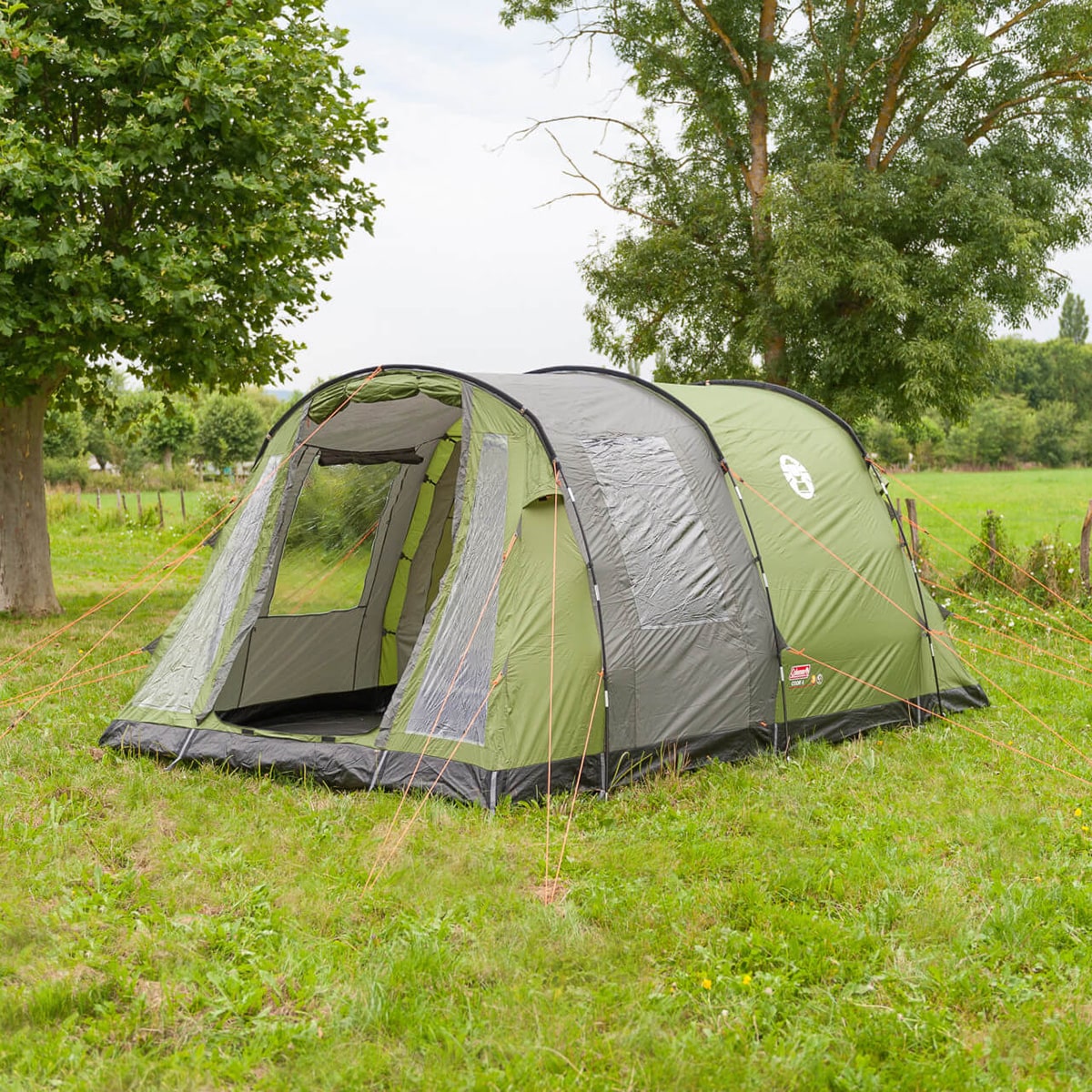 Coleman Cook 4 4-person tent