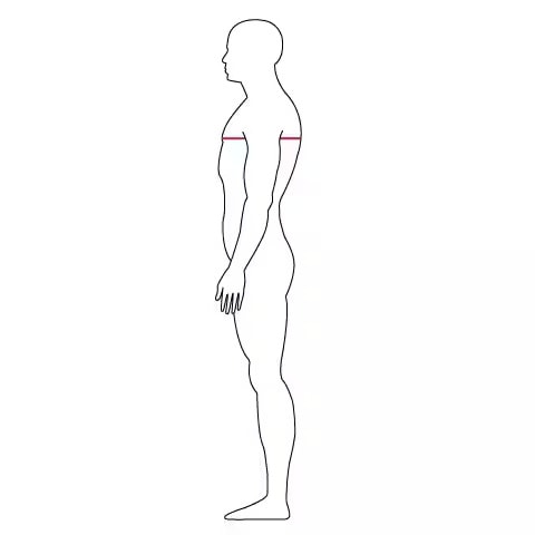 Chest_circumference_measurement