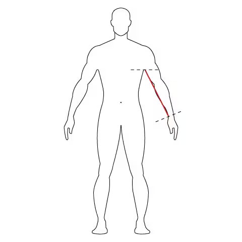Measuring_sleeve_length
