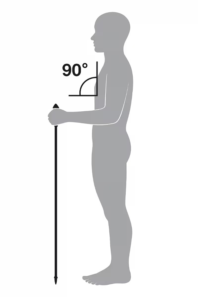 A trekking pole matched to your height