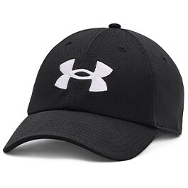 Lippikset