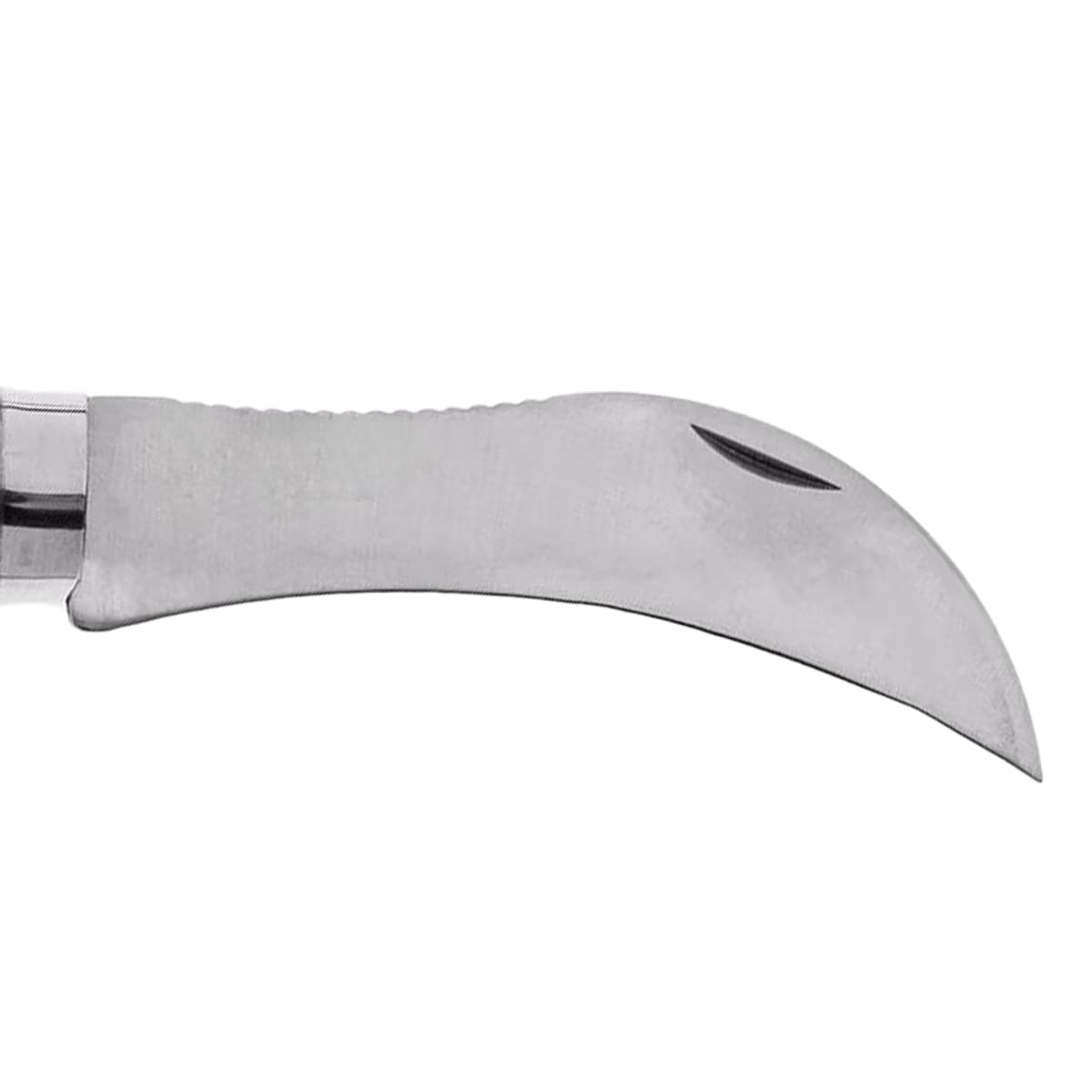 Opinel No.8 Mushroom Taittoveitsi Sienestykseen Koteloineen
