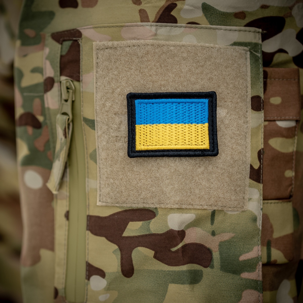 Haasta Embleemi 