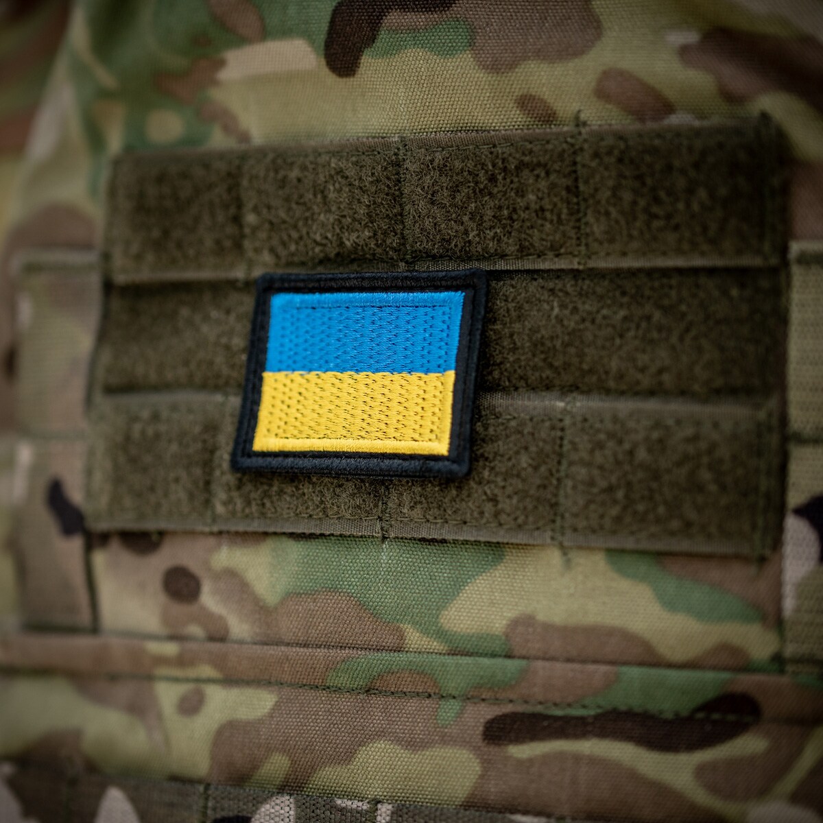 Haasta Embleemi 