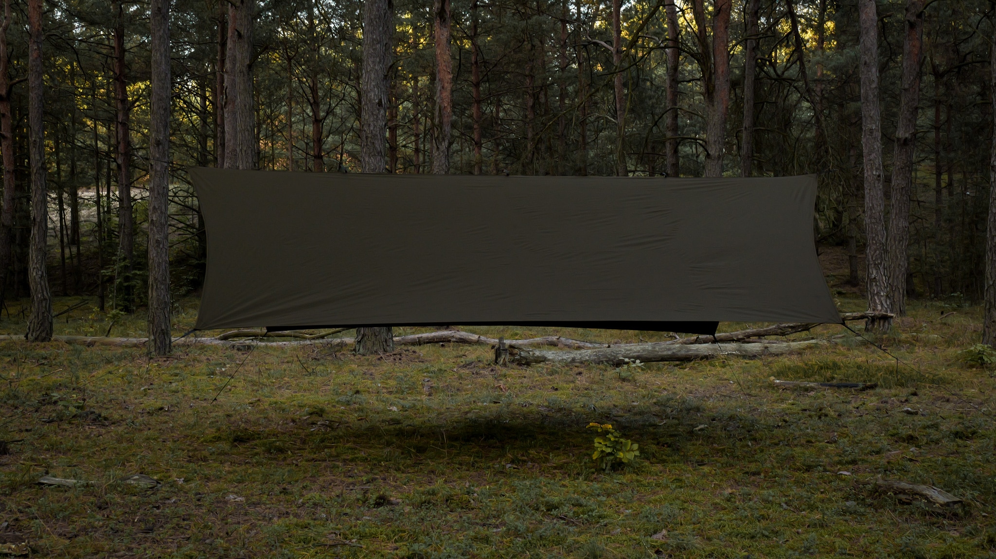 TigerWood Termo Tarp T2 StingRay Bivakkipressu 3,6 x 2,8 m - Dark Khaki