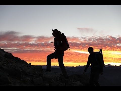 Deuter Futura Reppu 23 l - Grove-Ivy