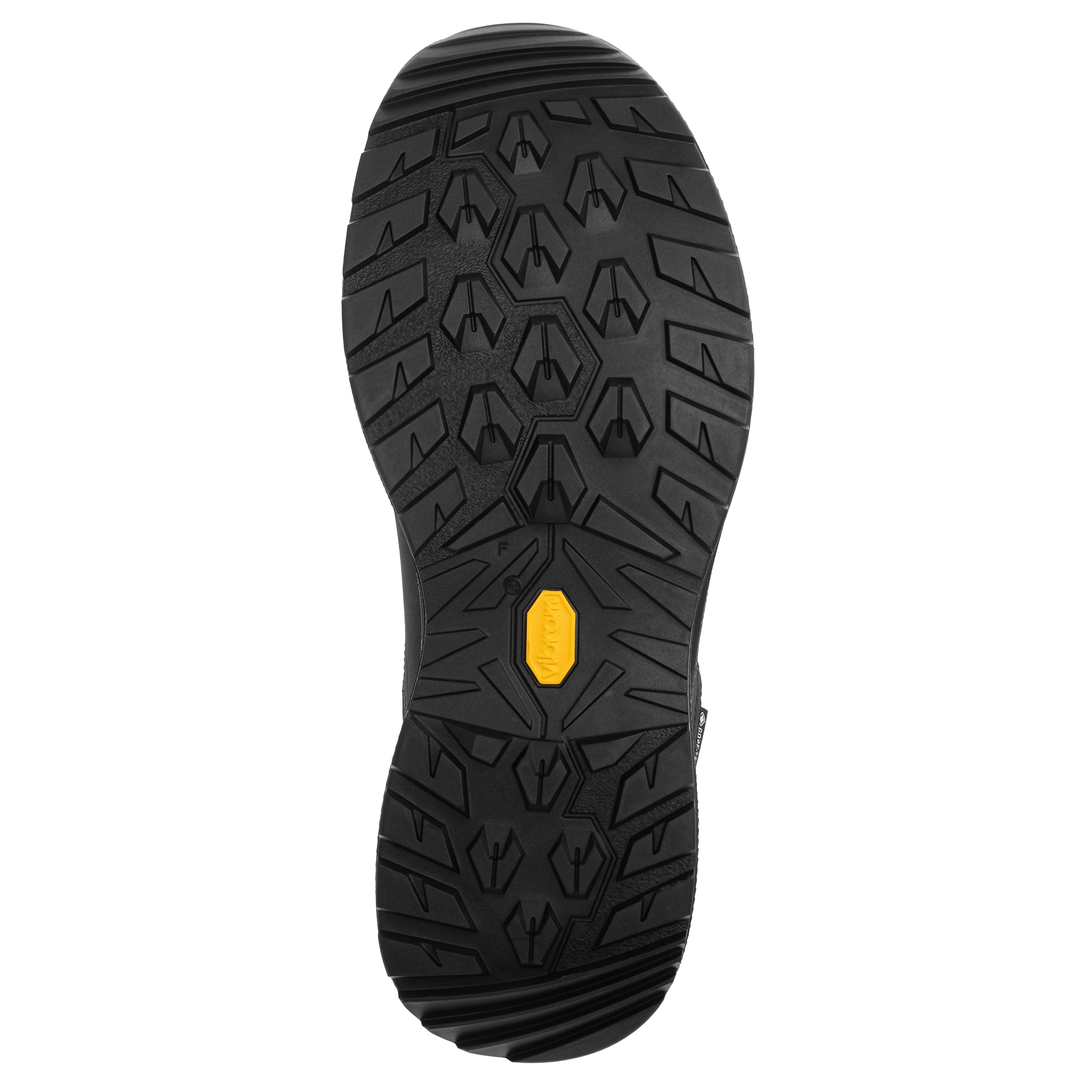Lowa Renegade EVO GTX LOW Kengät - Black