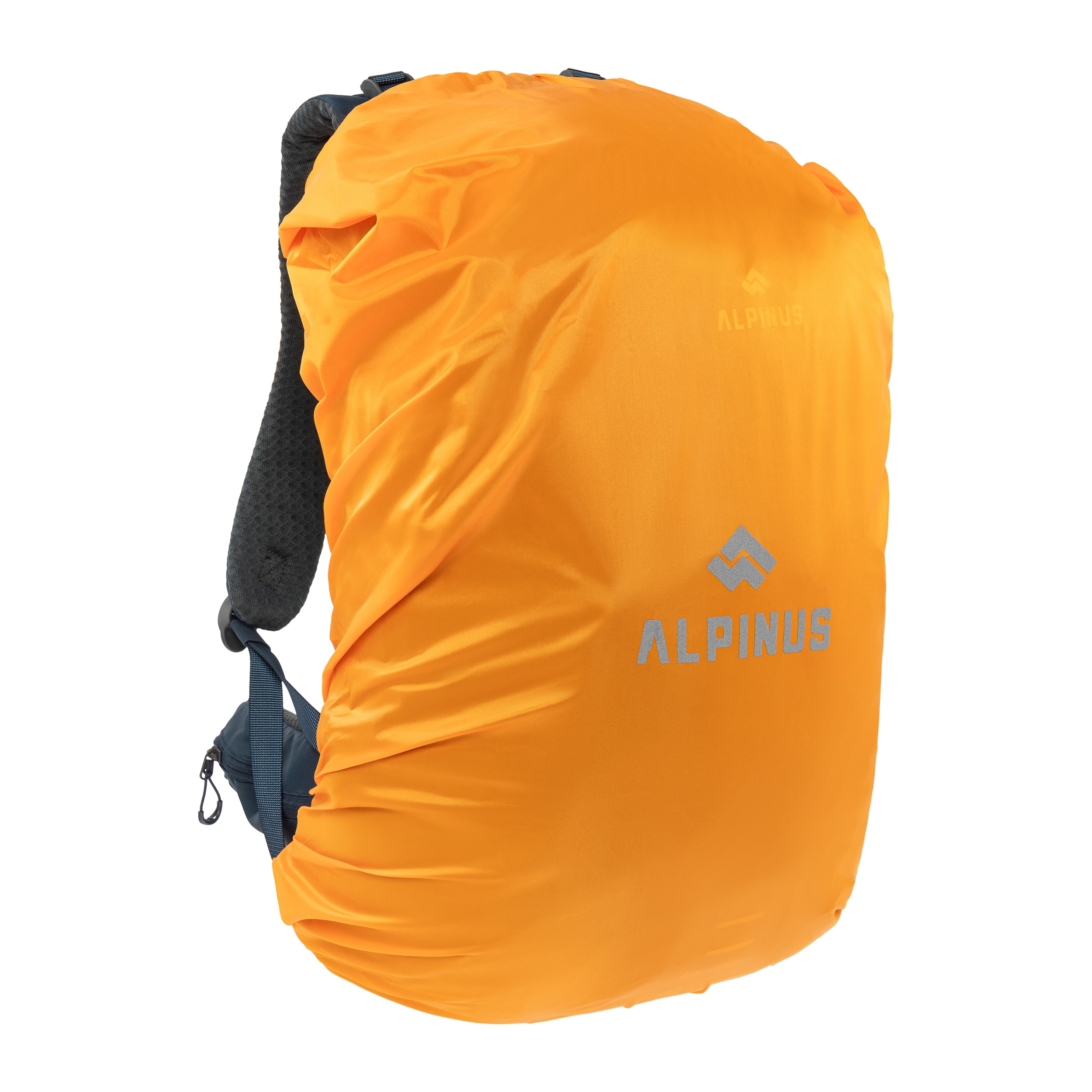Alpinus Ornak 30 l Reppu - Blue