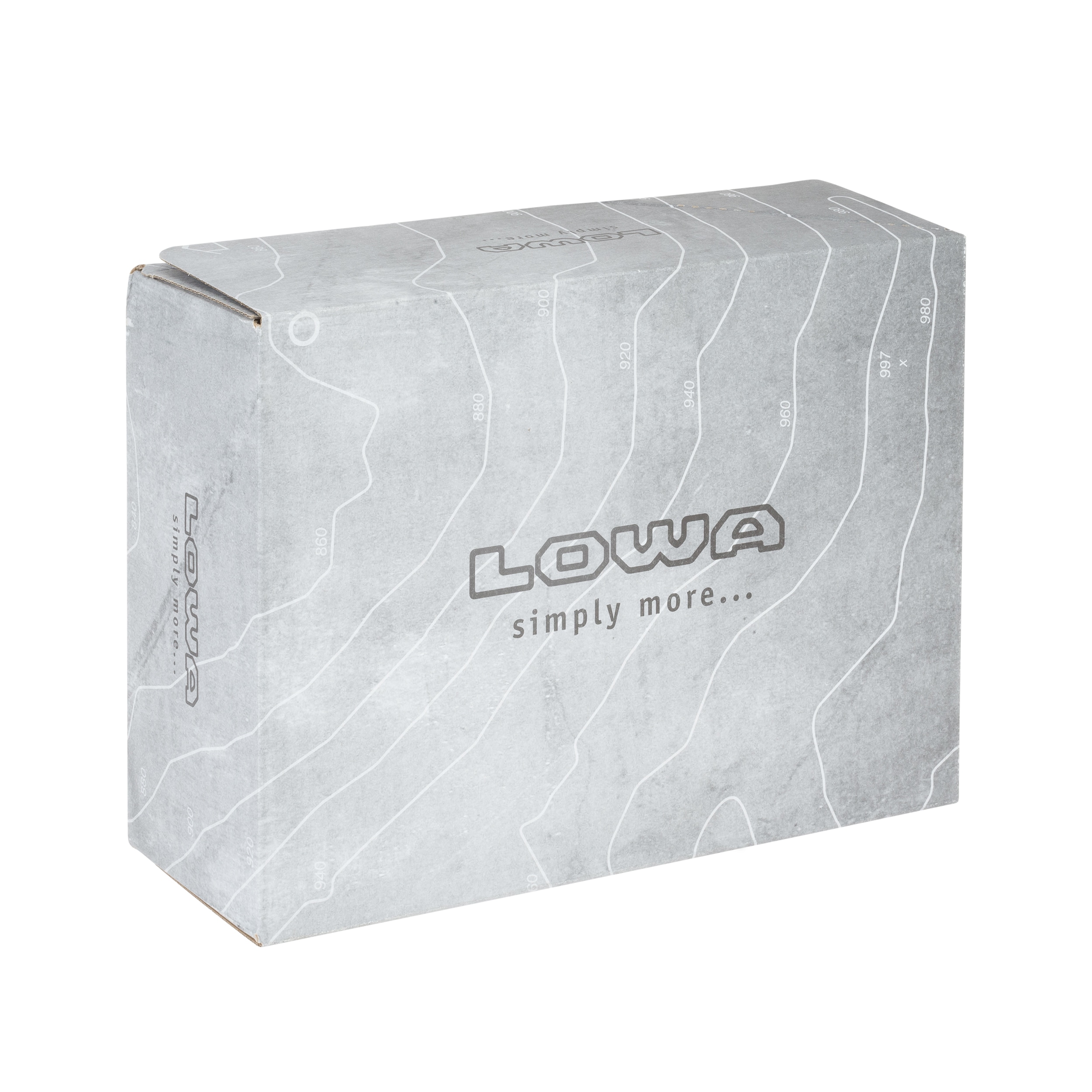 Lowa Renegade EVO GTX MID Naisten Kengät - Stone