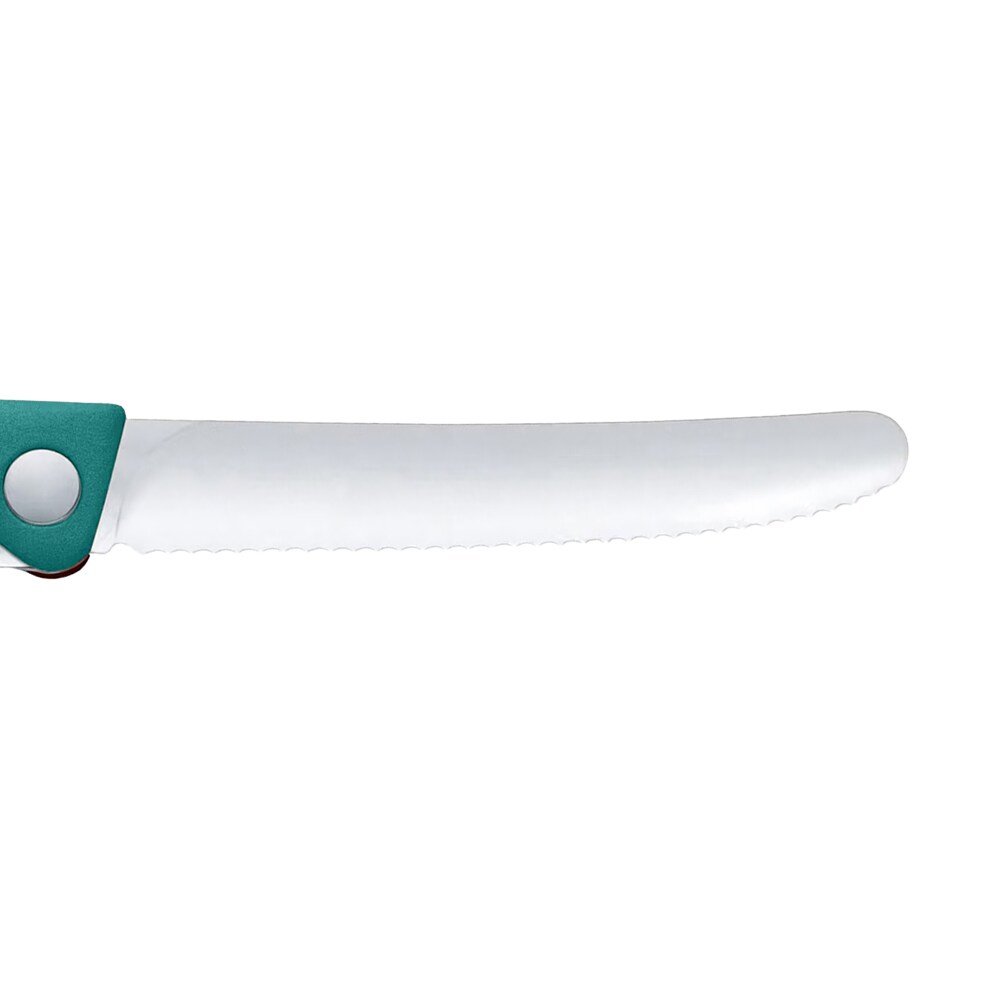 Victorinox Picnic Classic Aterinsetti - Kale Green