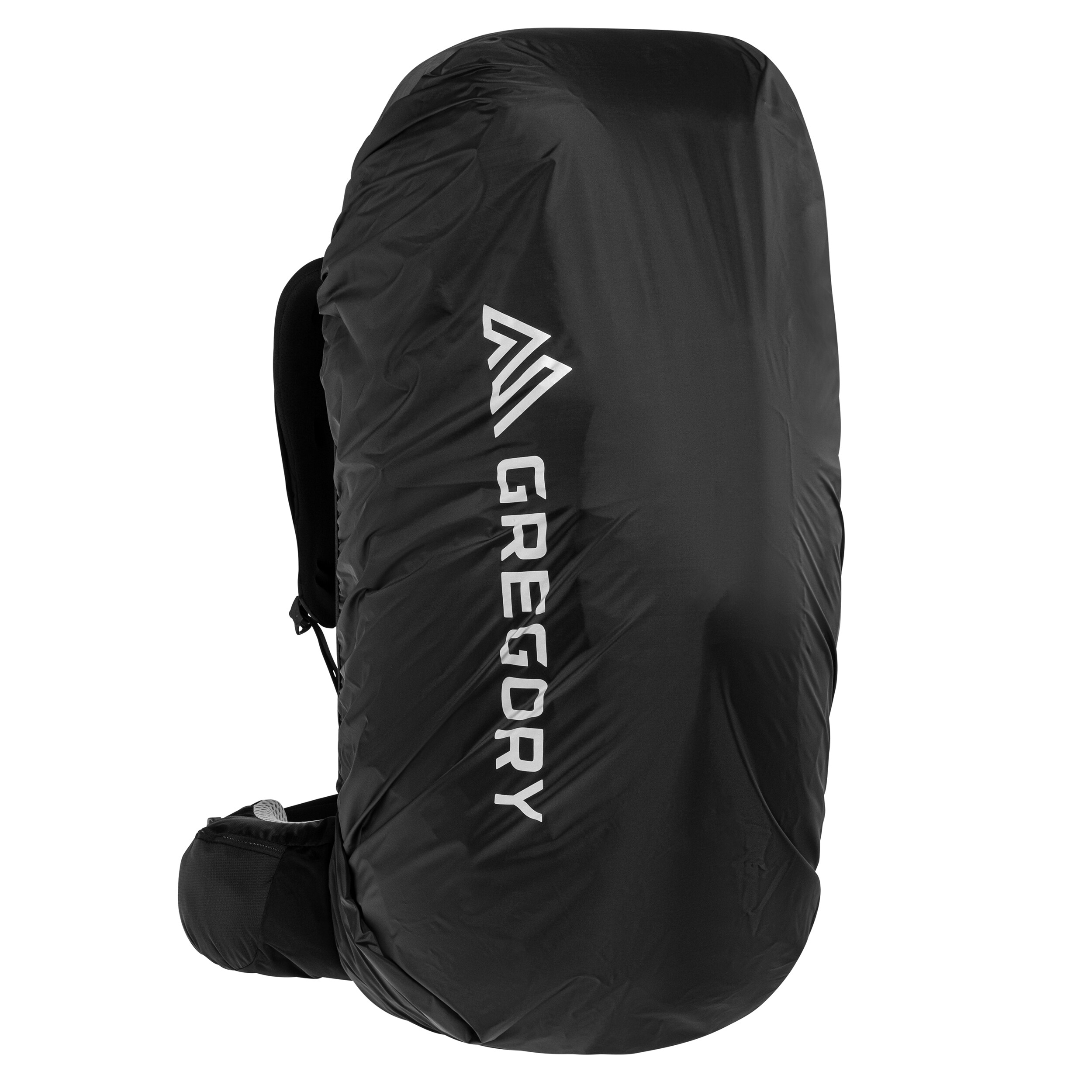 Gregory Baltoro L RC 65 l Reppu - Shadow Pine Black