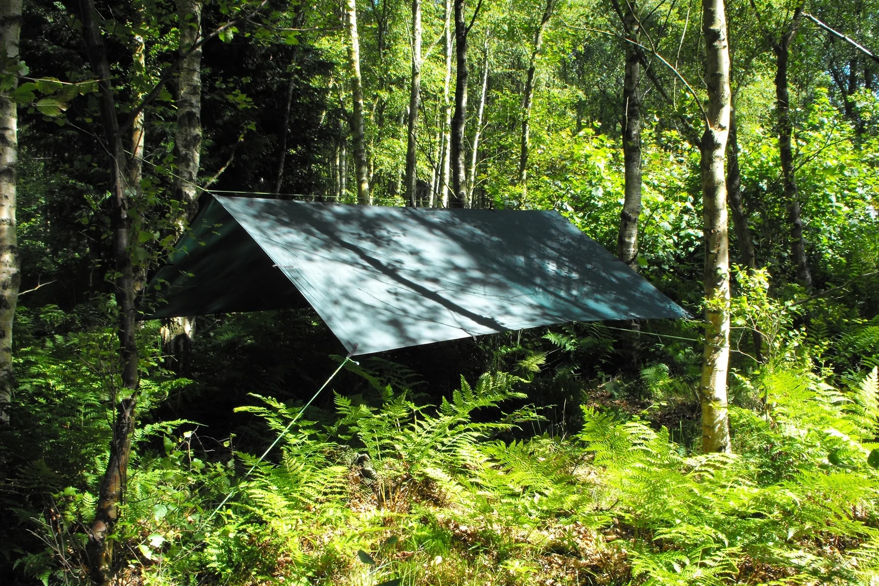 DD Hammocks Tarp 3x3 Bivakkisuojus - Olive