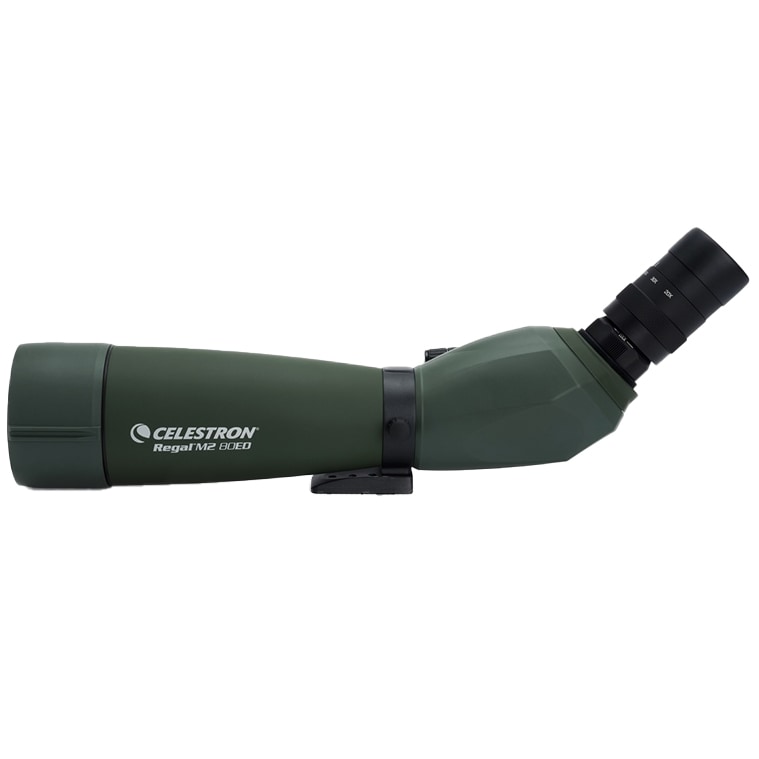 Celestron Regal M2 80ED kaukoputki 20-60x80