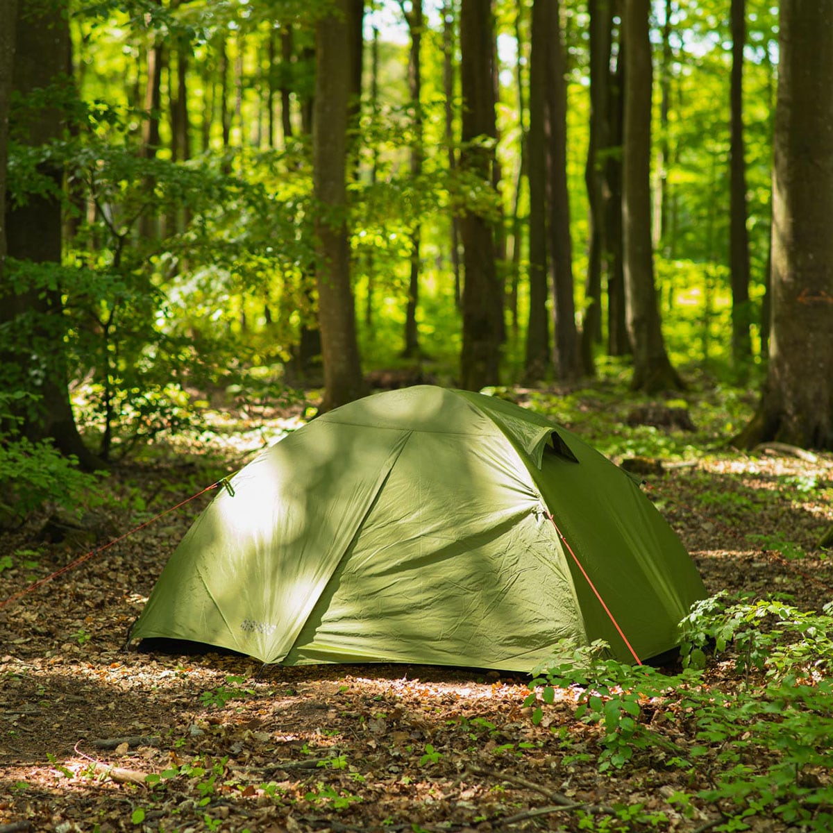 Tente 2-personnes Velebit 2 Alpinus