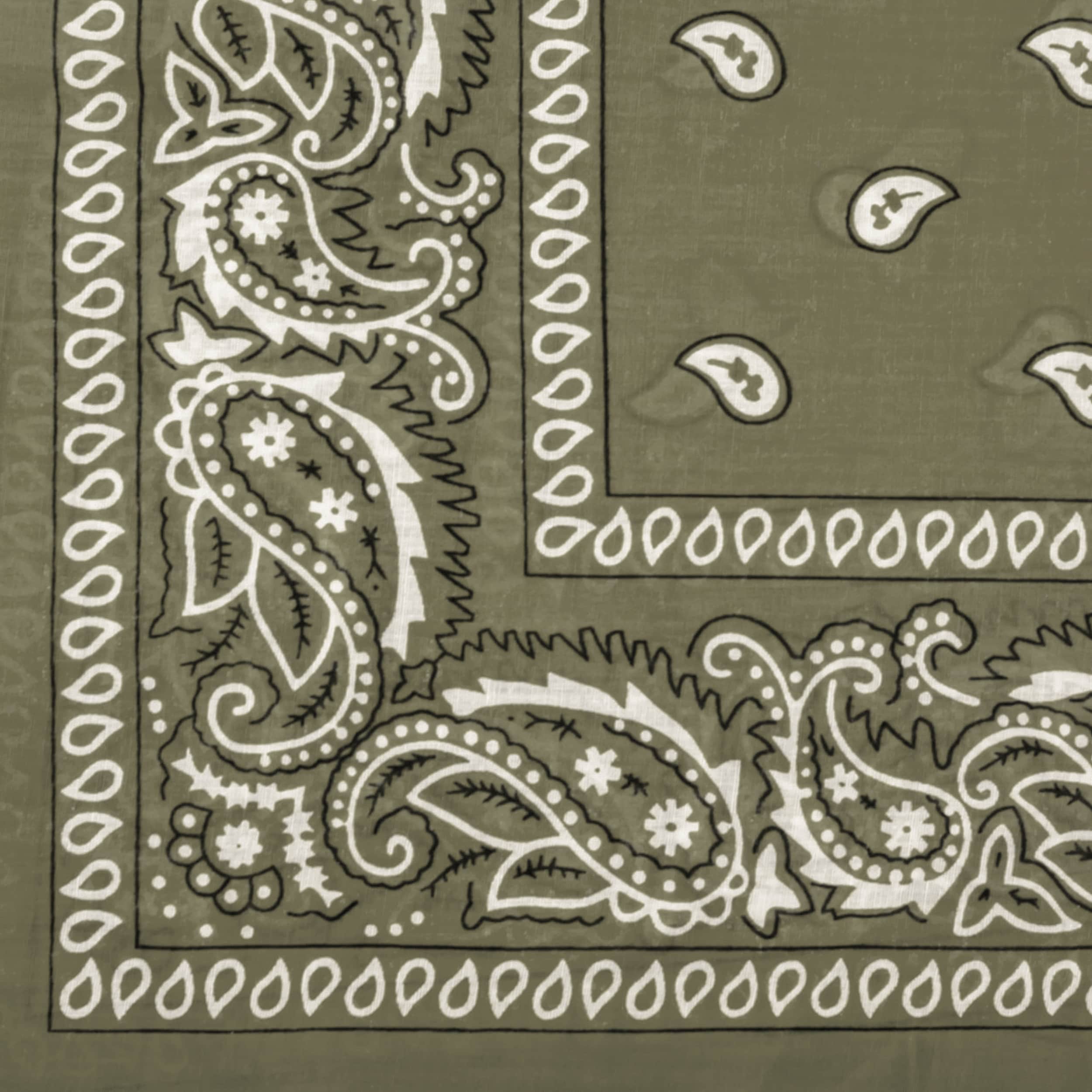 Écharpe de protection Western Mil-Tec - Olive