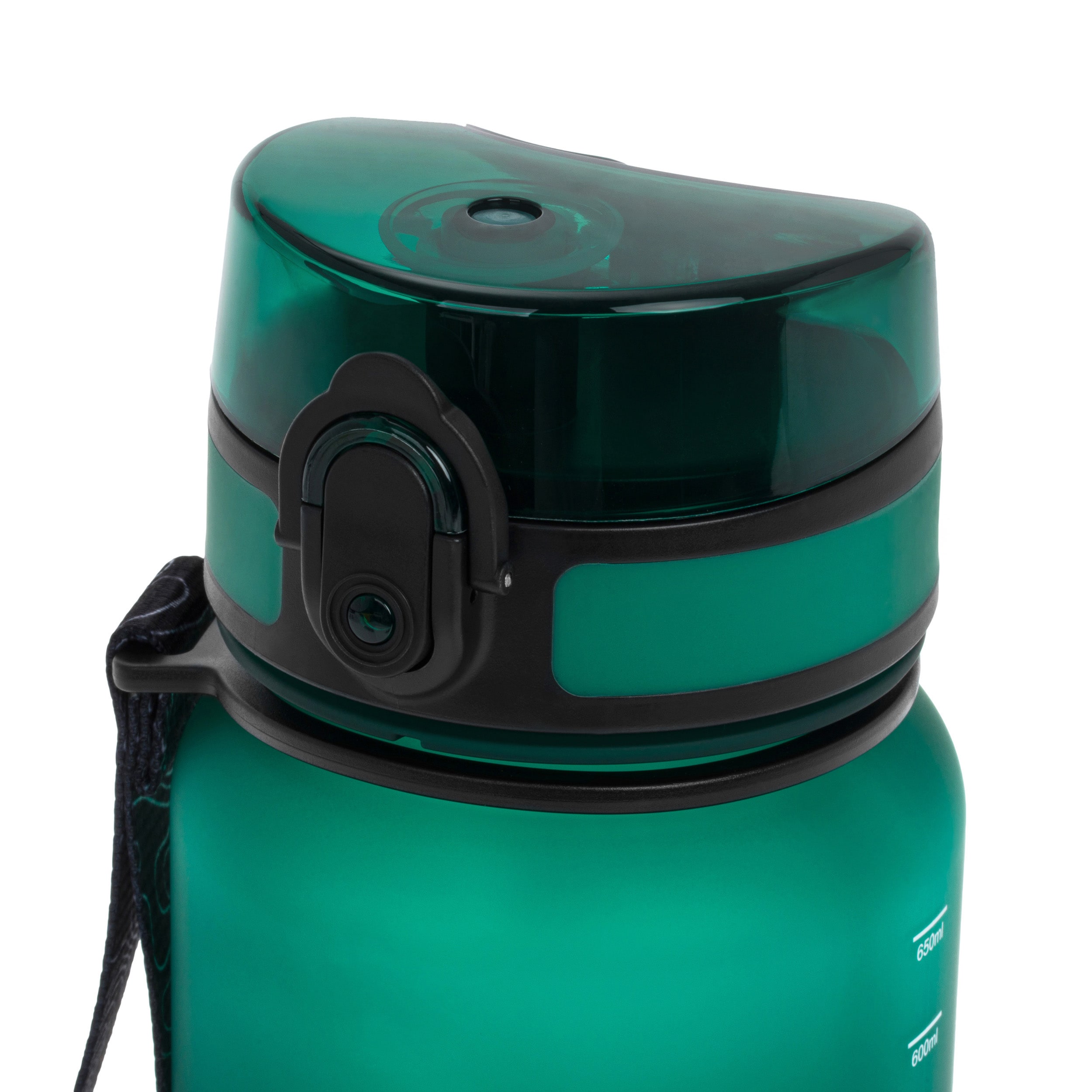 Bouteille Trysil 650 ml Alpinus - Green 