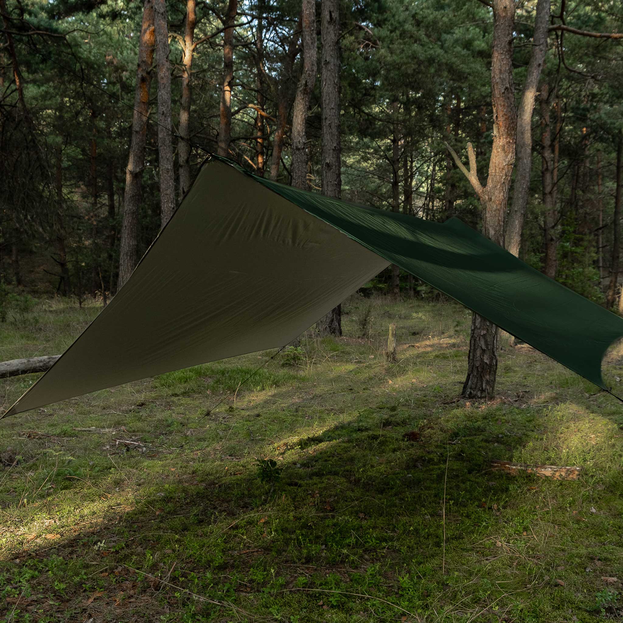 Bâche de bivouac Termo Tarp StingRay 3,6 x 2,8 m TigerWood - Green
