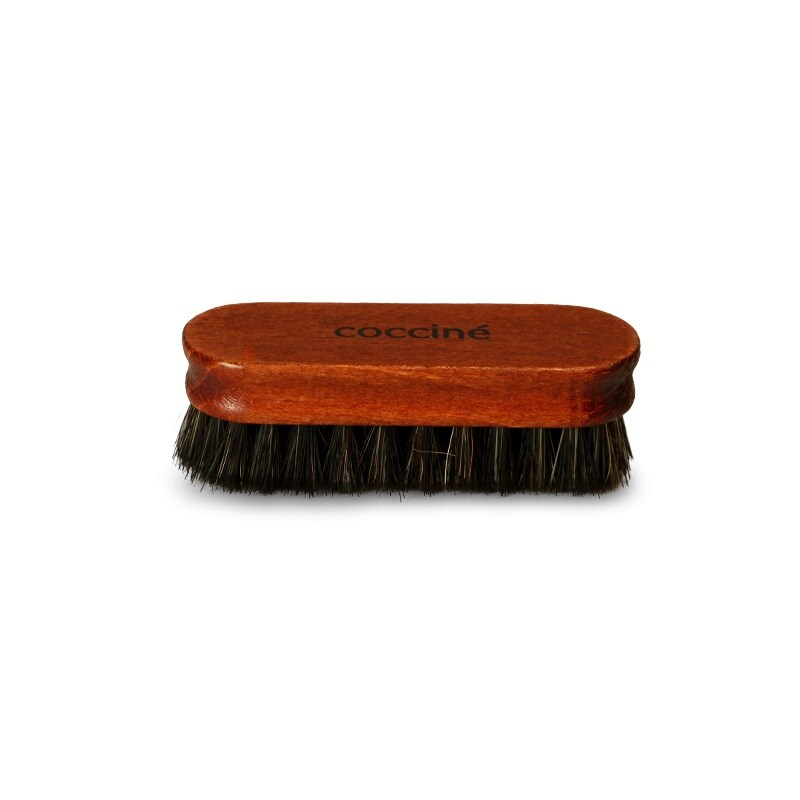 Brosse laquée pour le polissage des chaussures Coccine