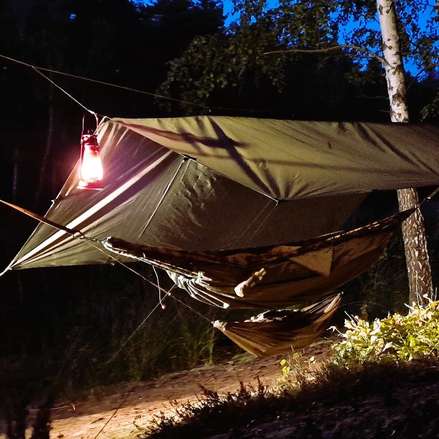 Bâche de bivouac Easy Tarp 3 x 3 m Bushmen - Green