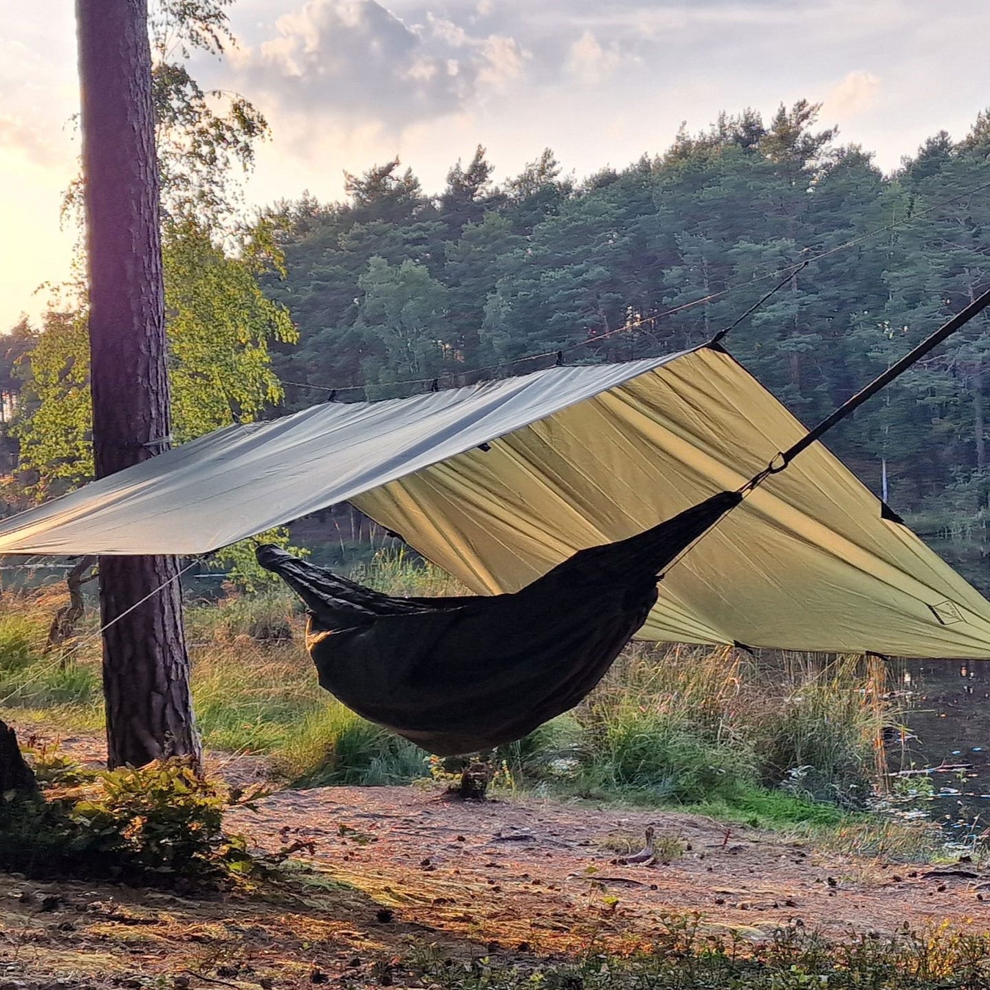 Bâche de bivouac Easy Tarp 3 x 3 m Bushmen - Green