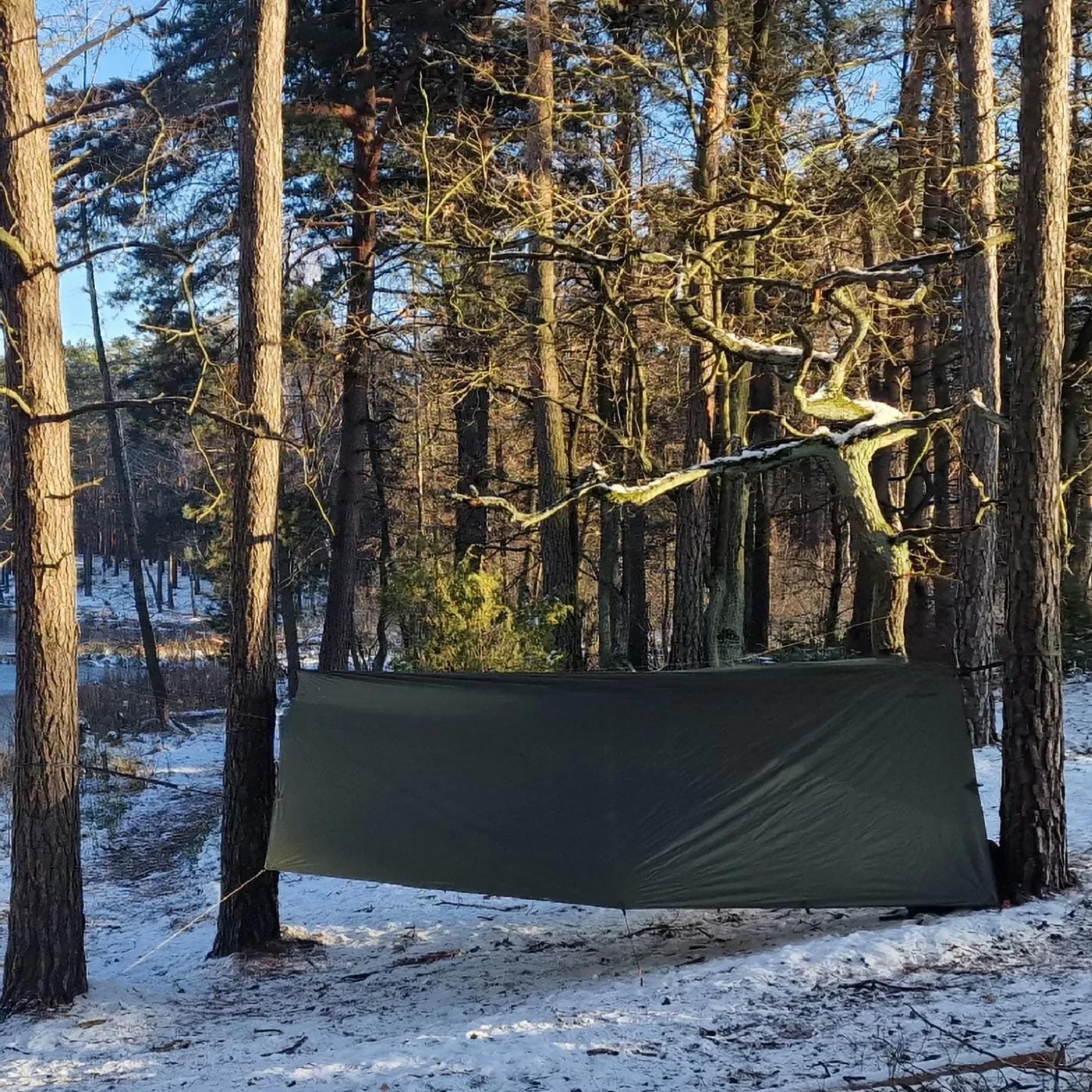 Bâche de bivouac Easy Tarp 4 x 3 m Bushmen - Green