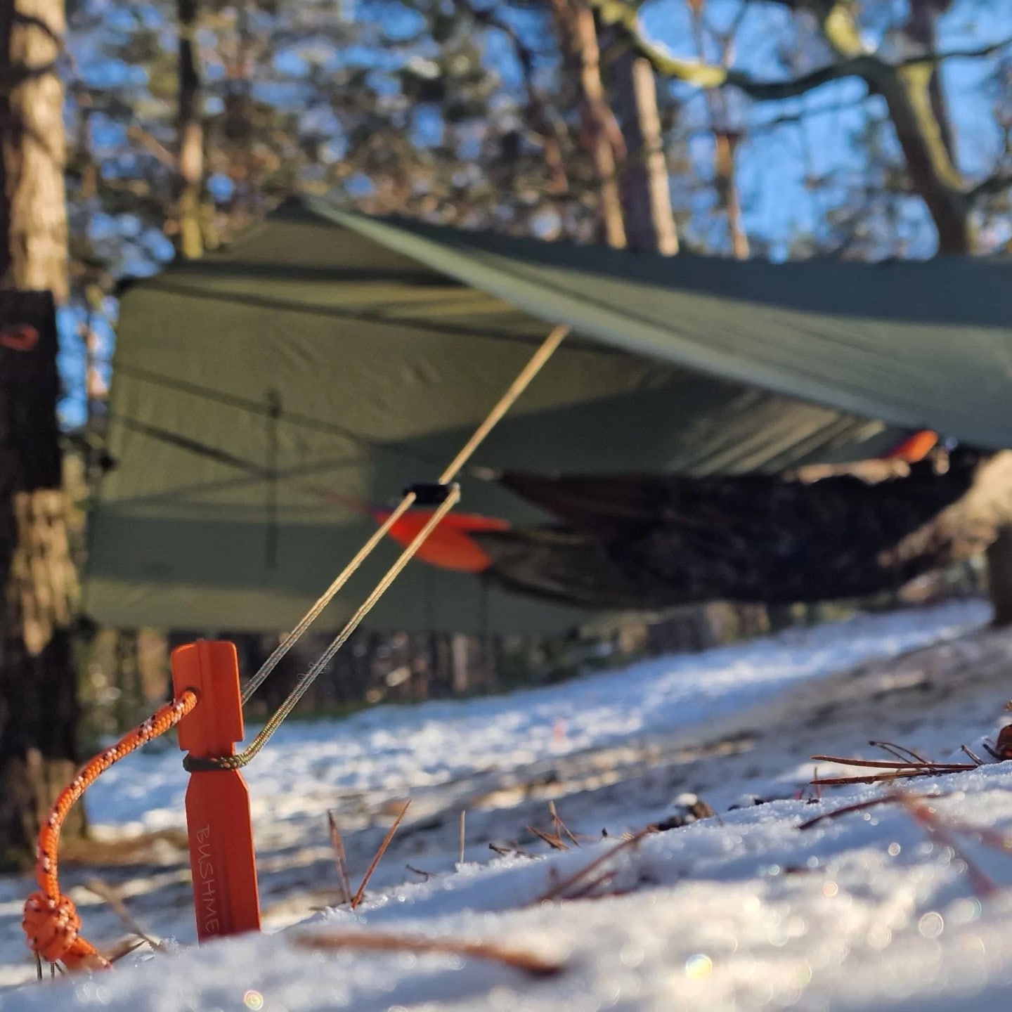 Bâche de bivouac Easy Tarp 4 x 4 m Bushmen - Green