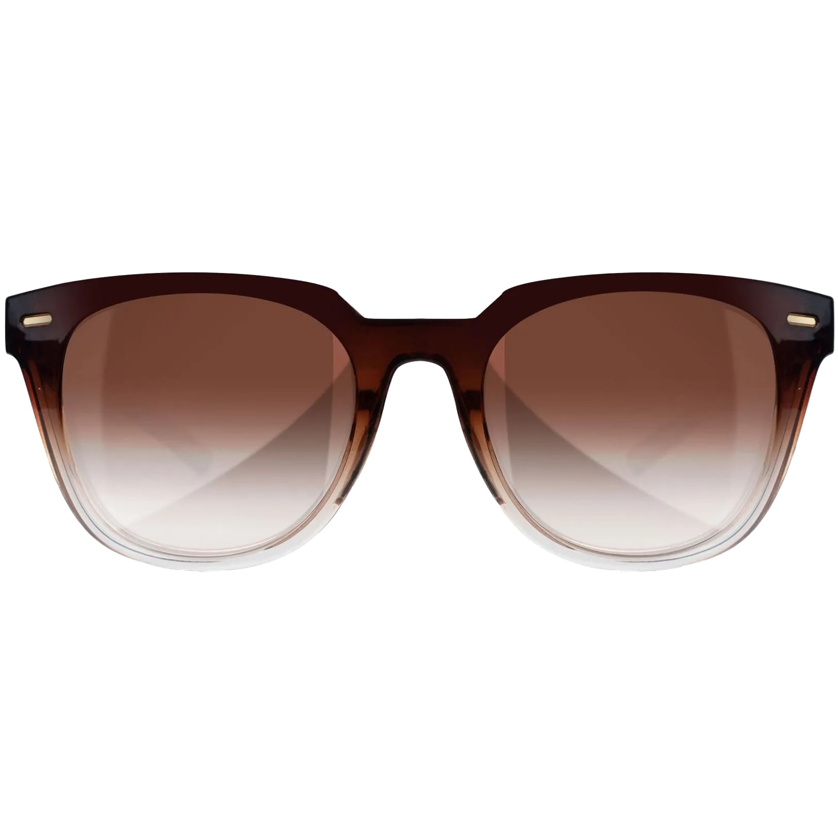 Lunettes pour femmes Ultra Wiley X - Brown Gradient / Gloss Crystal Brown Fade