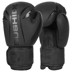 Gants de boxe Raptor B-2V22 DBX Bushido - Black Matt