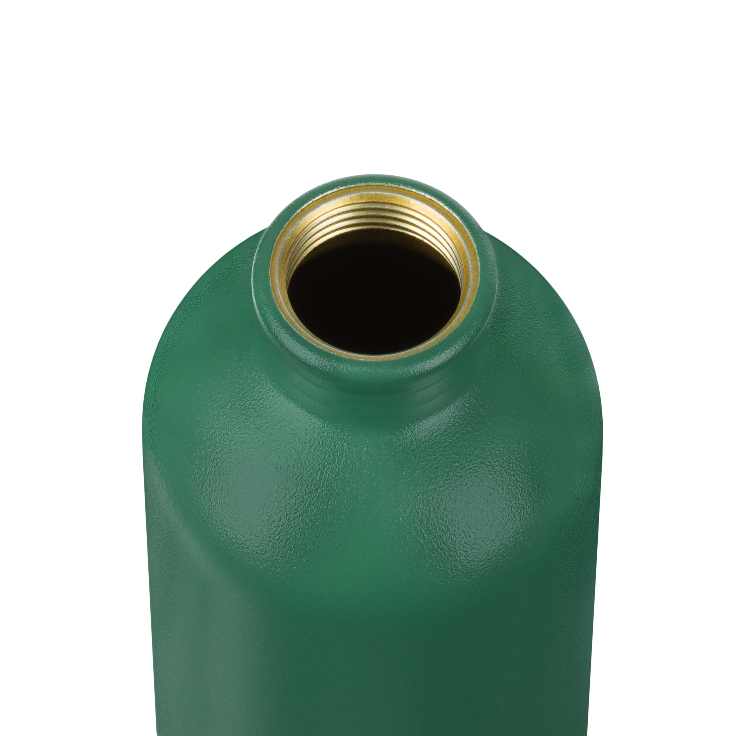 Gourde Traveller 600 ml Sigg - Leaf Green