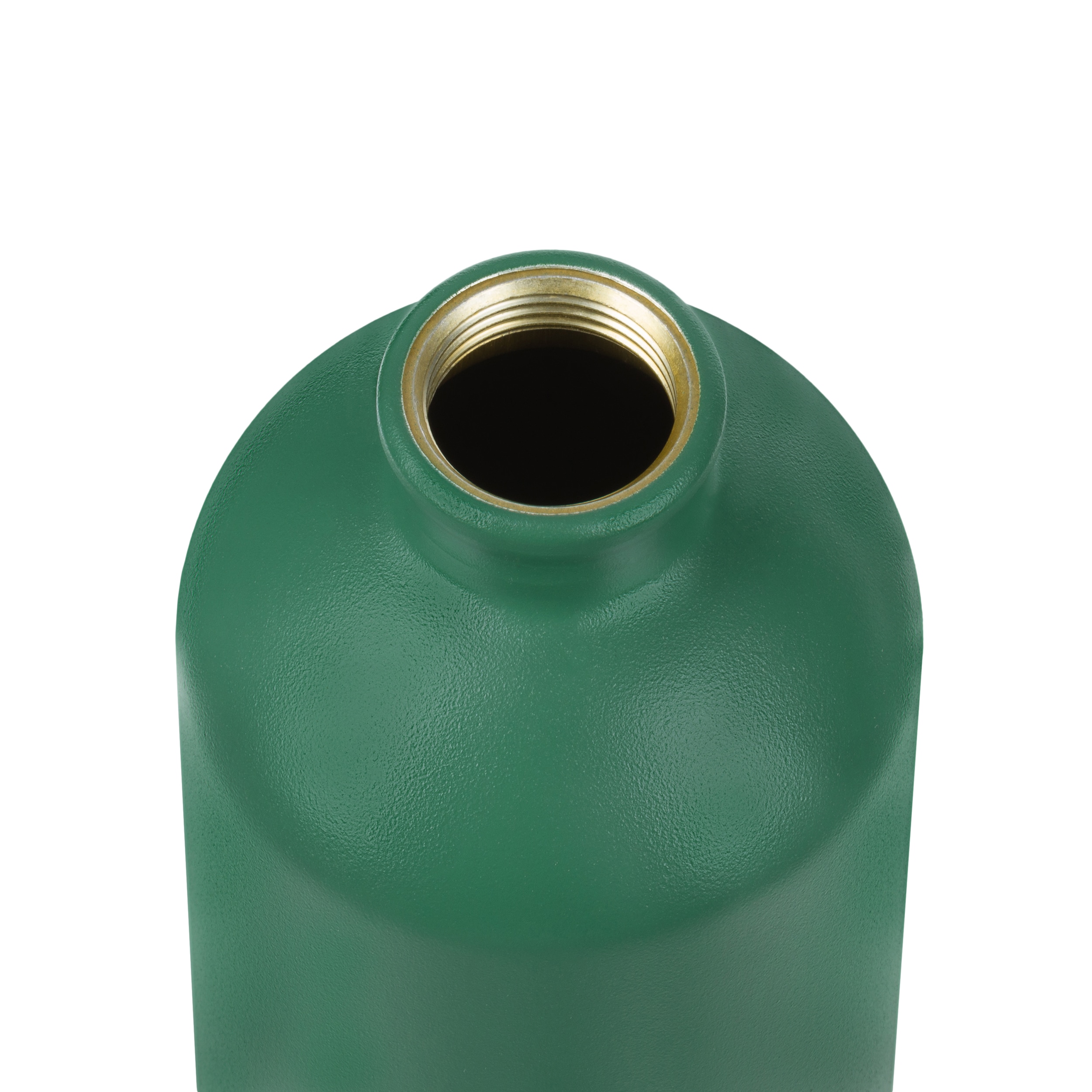 Gourde Traveller 1 L Sigg - Leaf Green