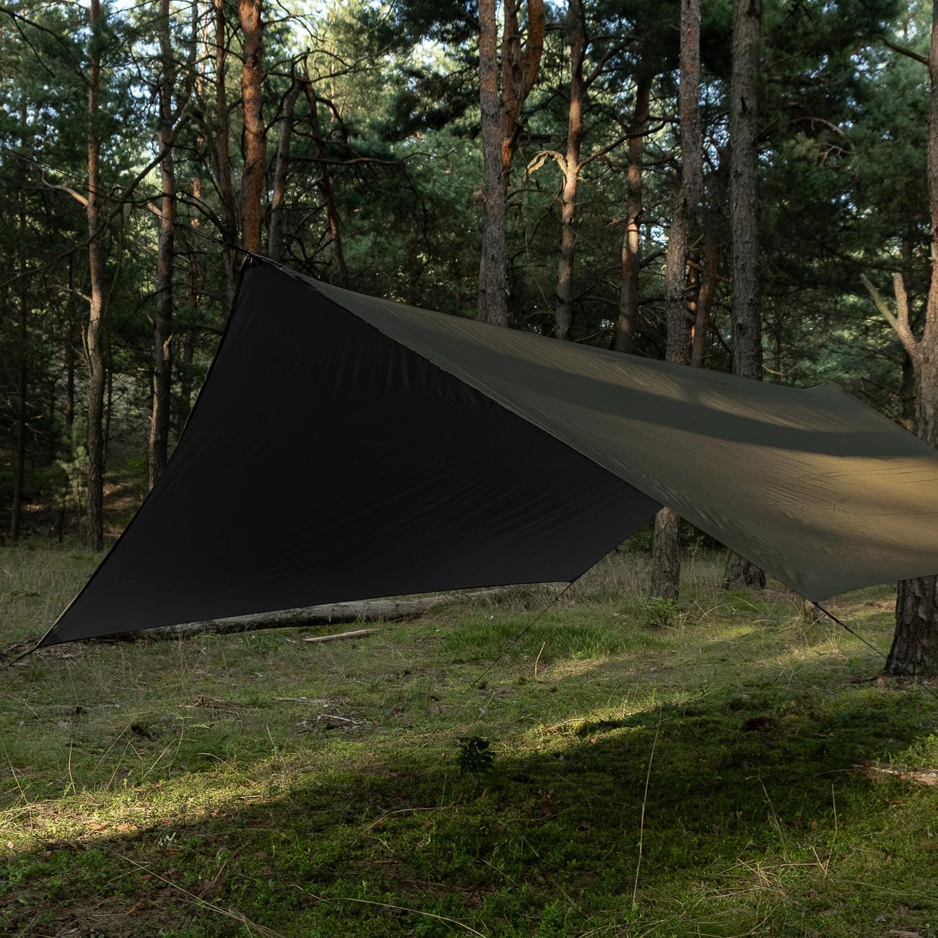 Bâche de bivouac Termo Tarp T2 StingRay 3,6 x 2,8 m TigerWood - Olive