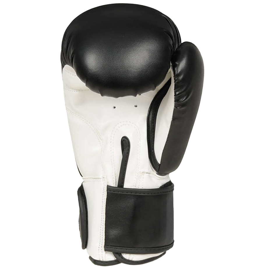 Gants de boxe  ARB-407A DBX Bushido - Black/White