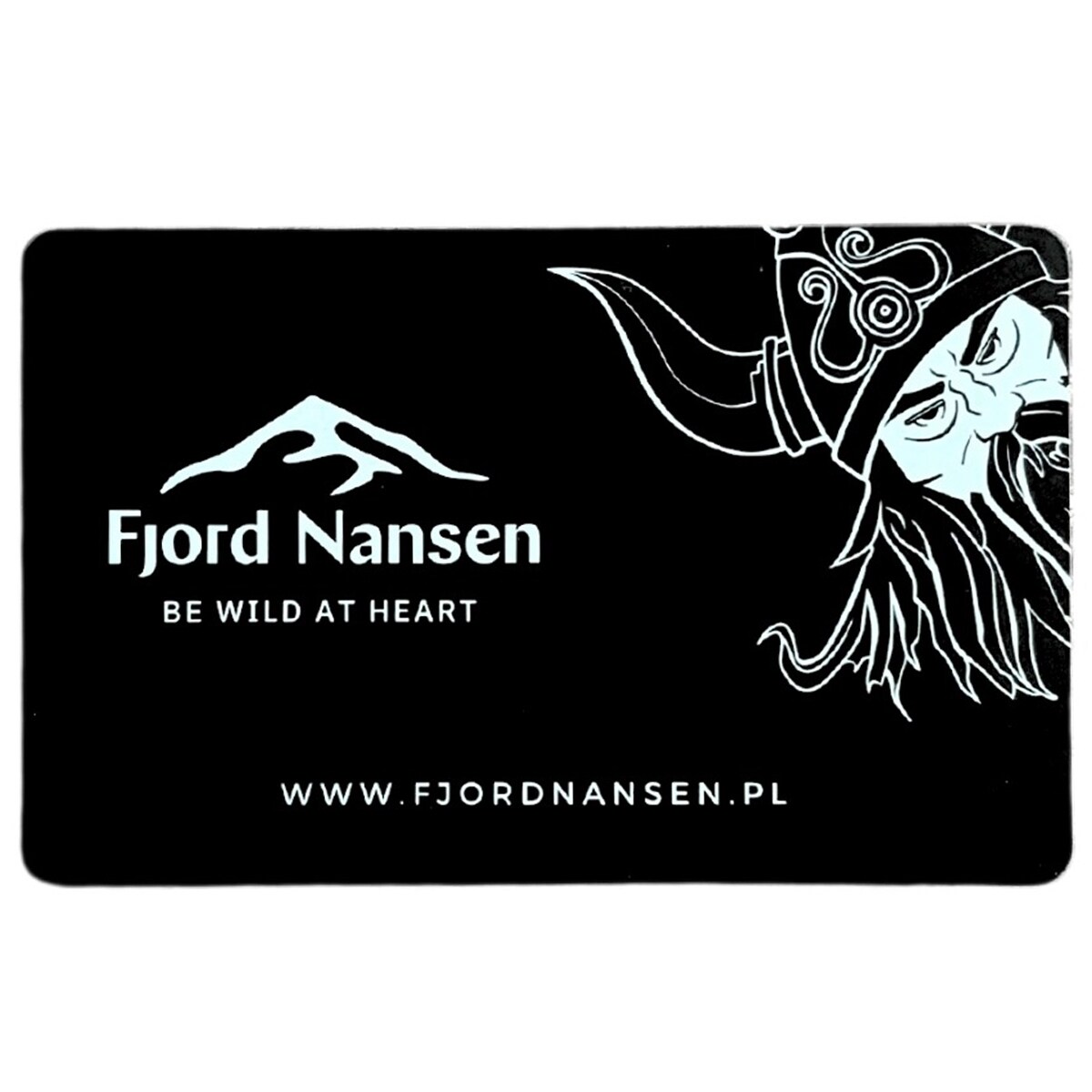 Carte de sécurité RFID Fjord Nansen