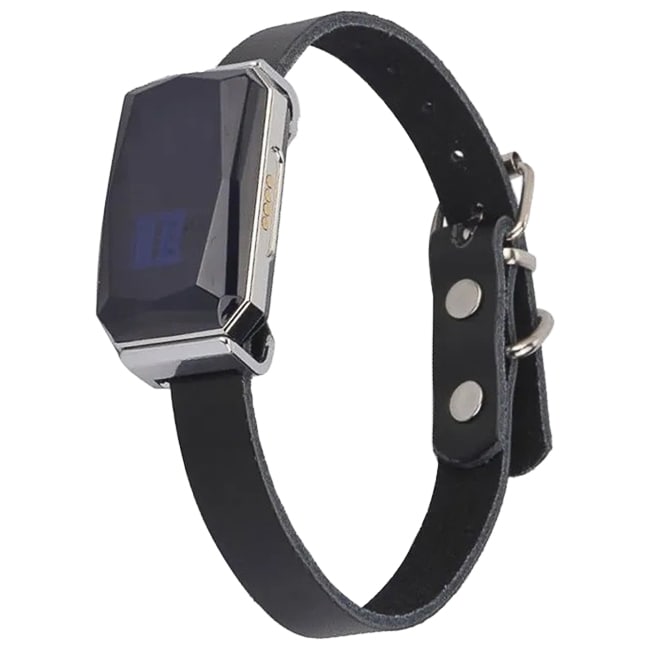 Localisateur GPS pour animaux MK12P MKing