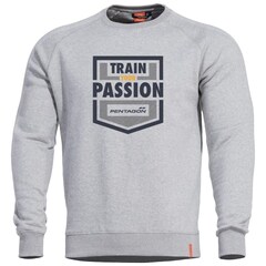 Sweatshirt Hawk Train Your Passion Pentagon - Melange