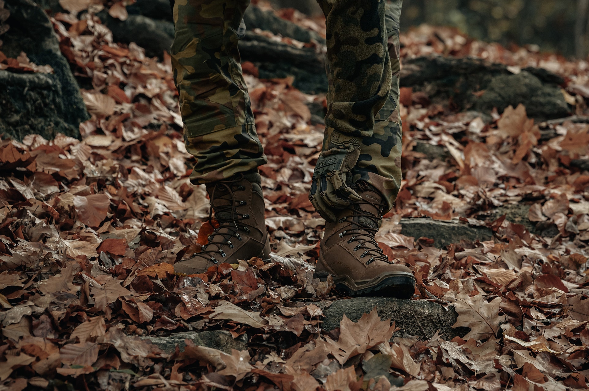 Chaussures Renegade II GTX HI TF Lowa - Dark Brown