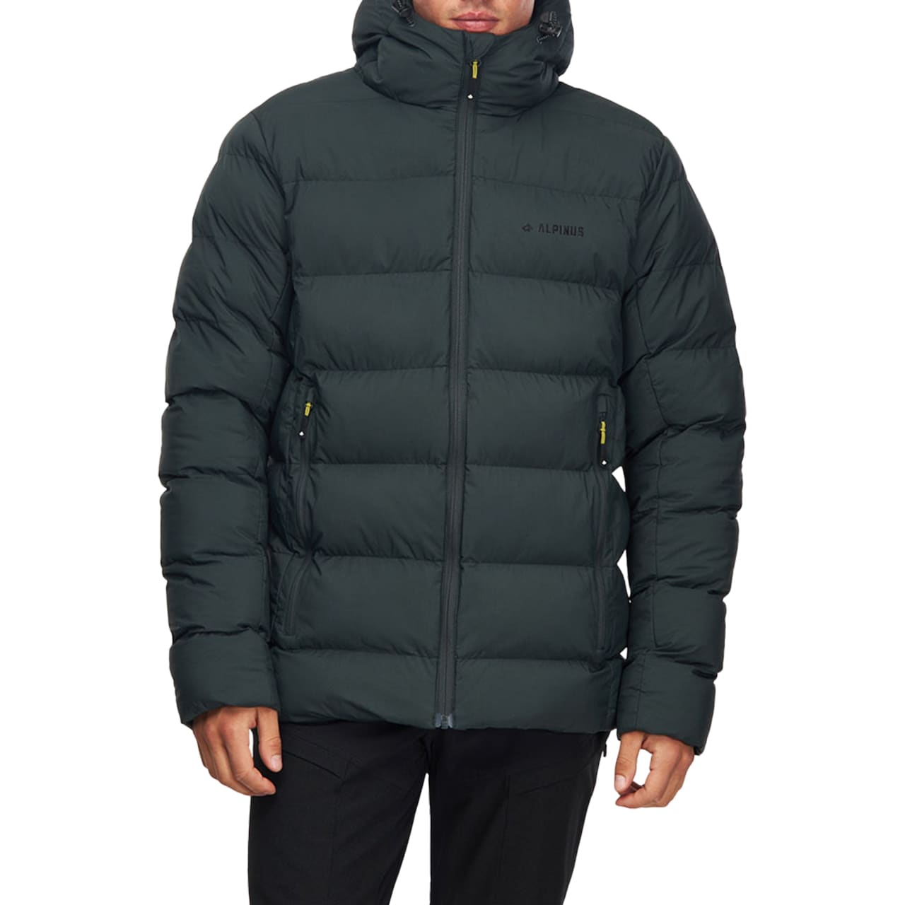 Veste Furggen Alpinus - Vert