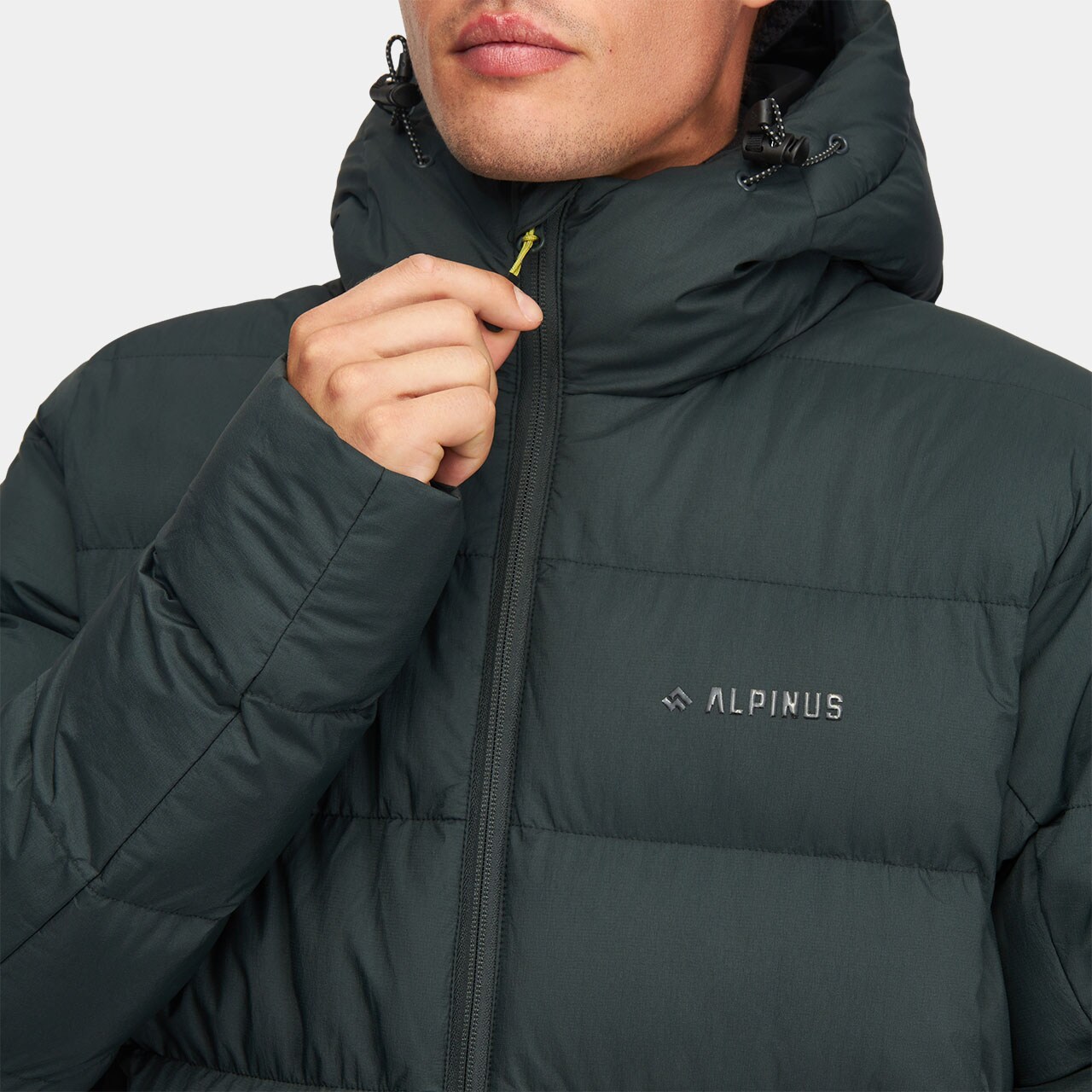 Veste Furggen Alpinus - Vert